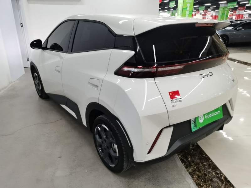 Used BYD Seagull 2025 305 km Free Version — 4