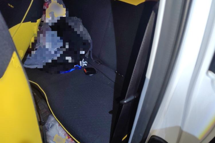 Used Bestune Pony 2025 222km Range Agile Horse Left Rear Seat