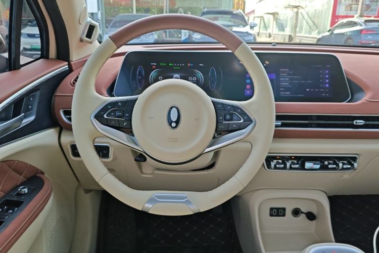 Used ORA Good Cat 2022 Morandi Edition 400km Standard Range Premium Version Lithium Iron Phosphate
