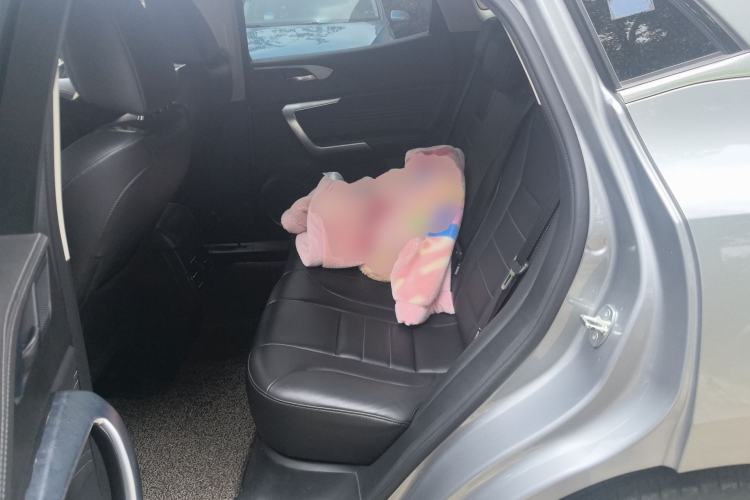 Used Wey VV5 2020 1.5T Two-Wheel Drive Color Pioneer