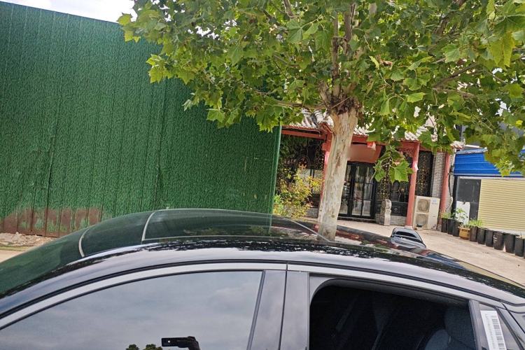 Used Lynk & Co 05 EM-P 2023 1.5TD EM-P