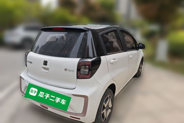 Used SOL E10X 2022 Flower Fairy Design Four-Leaf Clover