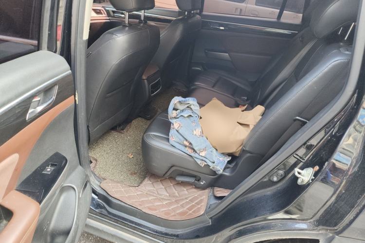 Used GAC Trumpchi GS8 2017 320T Four-Wheel Drive Luxury Smart Connectivity Version (7 Seats) Left Rear Seat