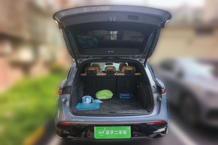 Used VOYAH FREE 2021 Four-Wheel Drive Standard Range-Extended Exclusive Luxury Package
