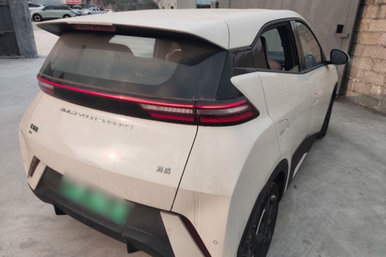 Used BYD Seagull 2023 Flying Edition