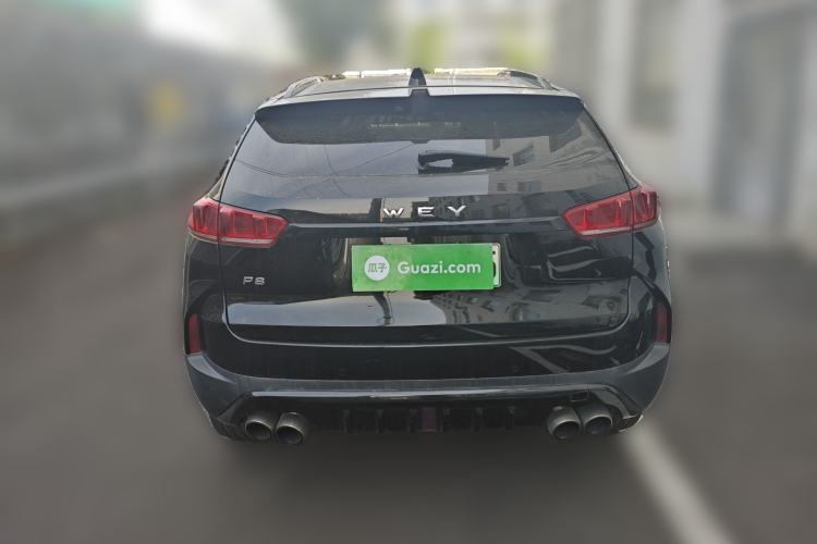 Used Wey P8 2018 2.0T Flagship Model Rear