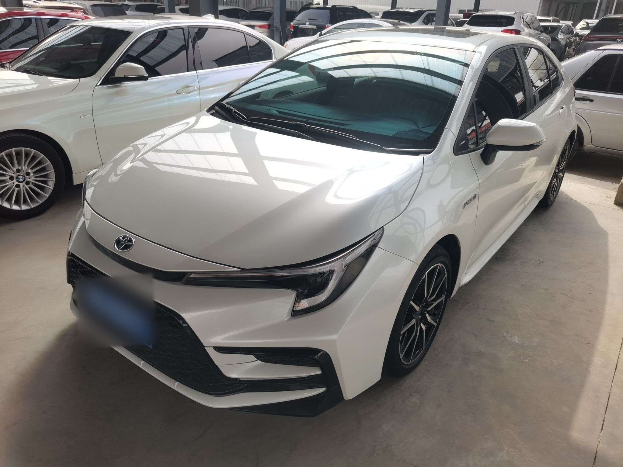 Parte inferior delantera