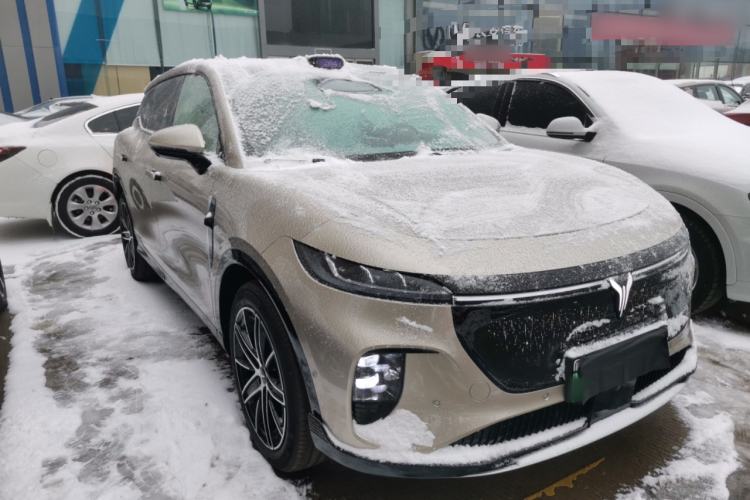 Used VOYAH COURAGE 2025 Model Rear-Drive Qiankun Edition
