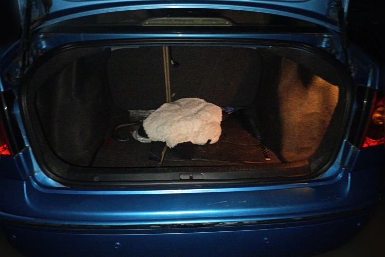 Used Volkswagen Polo 2009 Jingqu 1.4L Automatic Elegant Edition Trunk