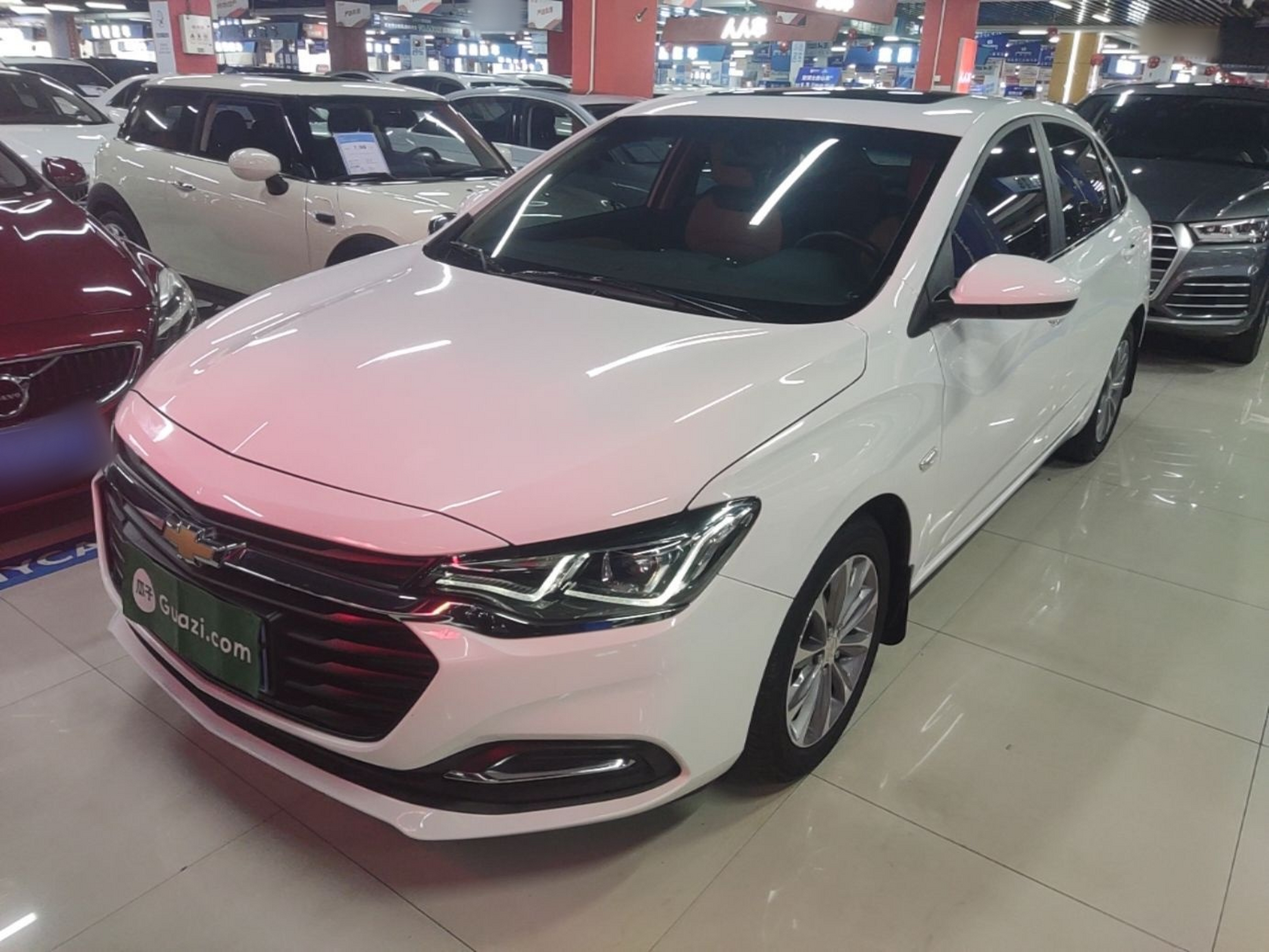 Parte inferior delantera