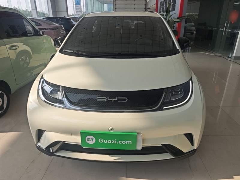 Used BYD Dolphin 2023 420 km Free Version — 2