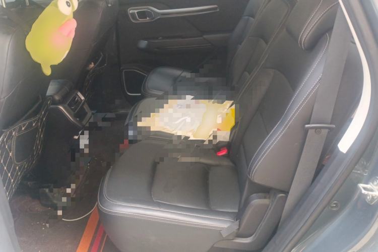 Used Geely Auto Haoyue 2020 1.8TD DCT Luxury 7-Seater Left Rear Seat