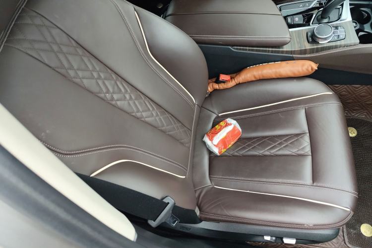 Used BMW 5 Series New Energy 2020 530Le Luxury Package
