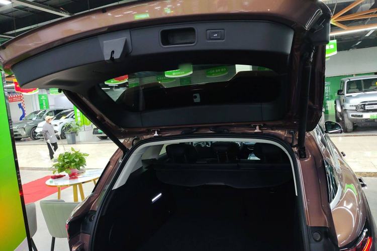 Used VOYAH FREE 2024 Ultra-Long Range Intelligent Driving Version
