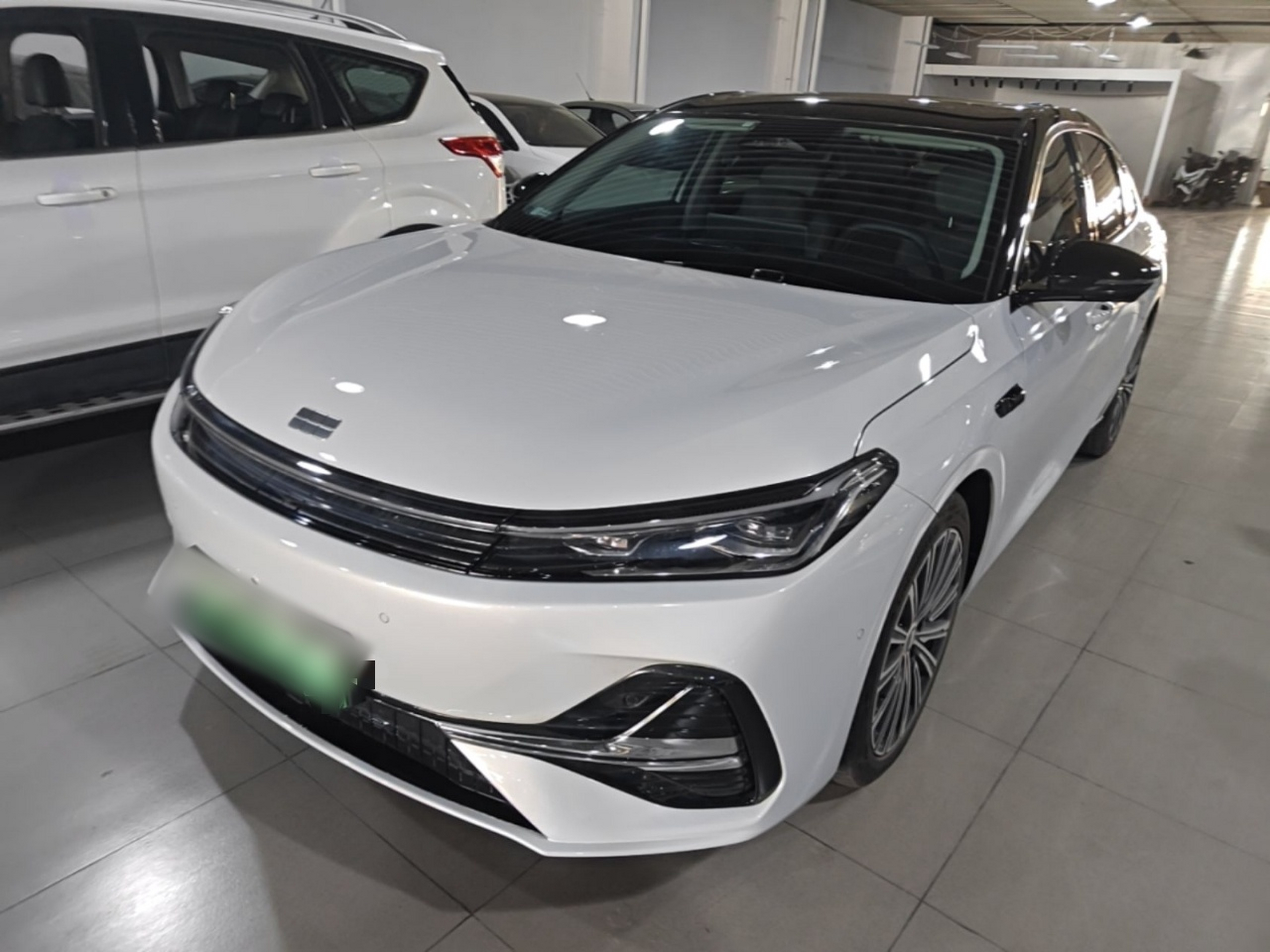 Parte inferior delantera