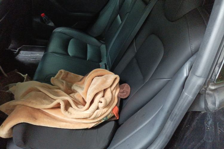 Used Tesla Model 3 2022 Rear-Wheel-Drive Version Left Rear Seat