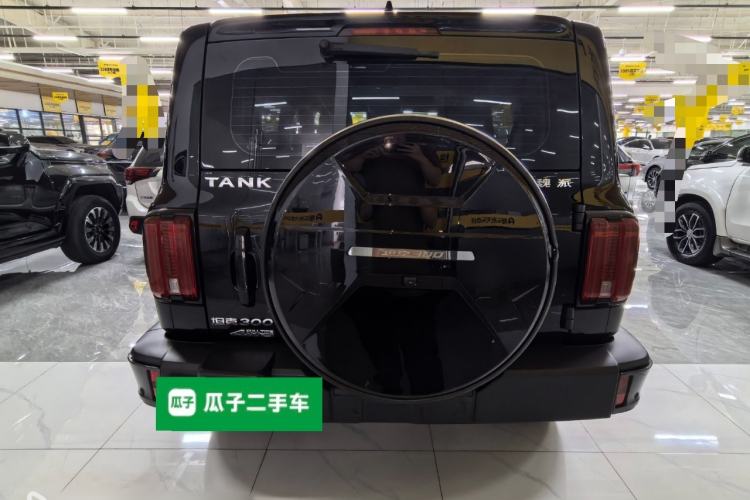 Used Tank 300 2021 City Edition 2.0T—Truly Stylish Rear