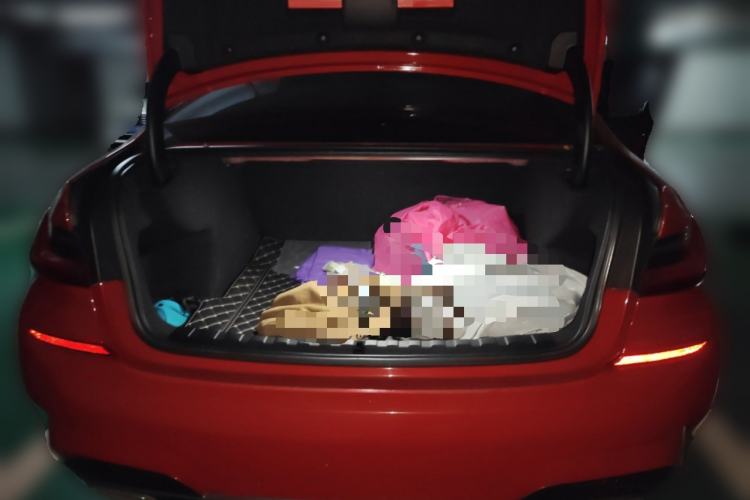 Used BMW 3 Series 2020 325Li M Sport Package Trunk