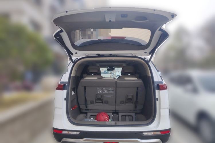 Used Kia Carnival 2021 2.0T Luxury Premium Model
