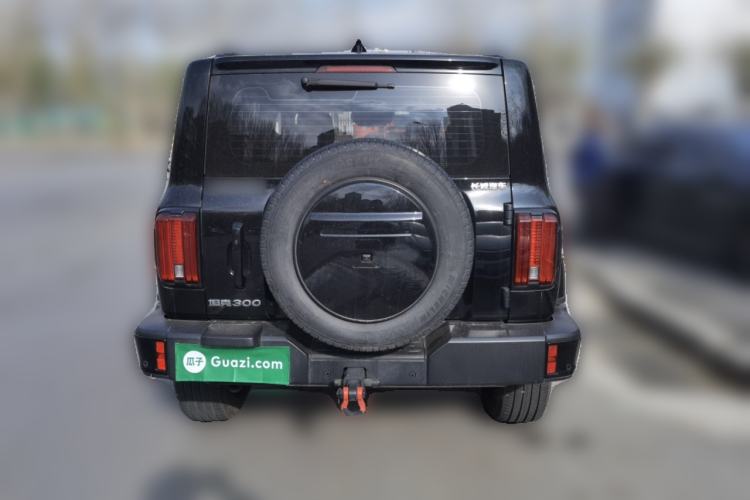 Used Tank 300 2024 2.0T Crosser
