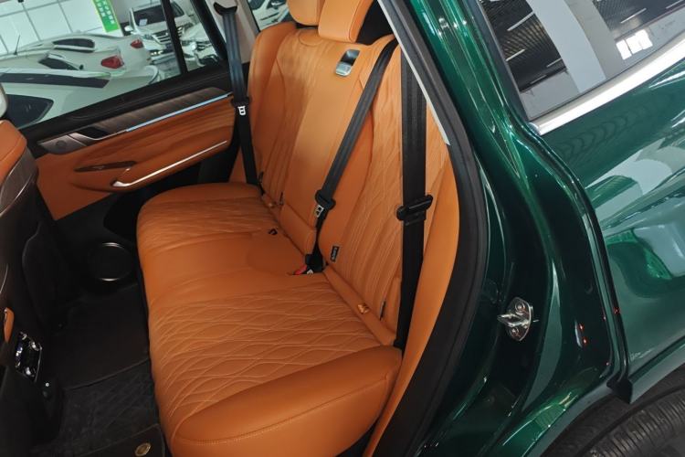 Used Tank 500 New Energy 2026 Model—Hi4-Z Smart Enjoyment Version Left Rear Seat