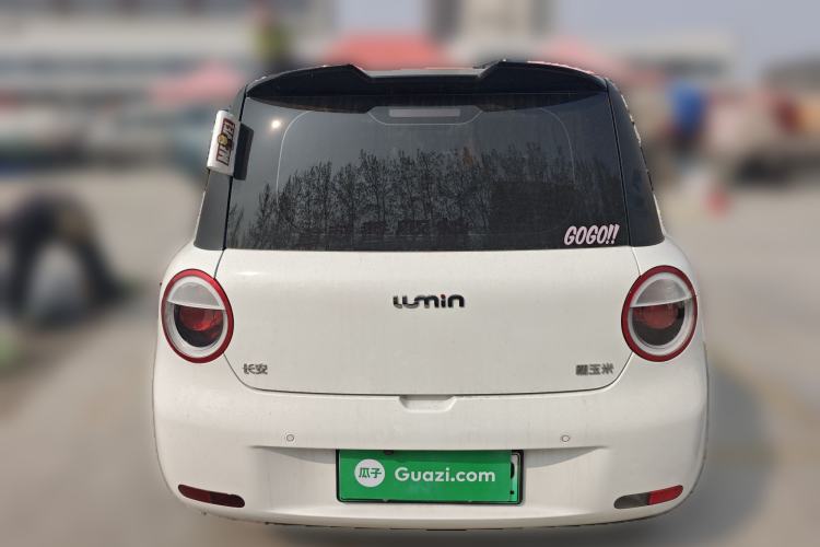 Used Qiyuan Lumin 2023 205km Xiangqin Version
