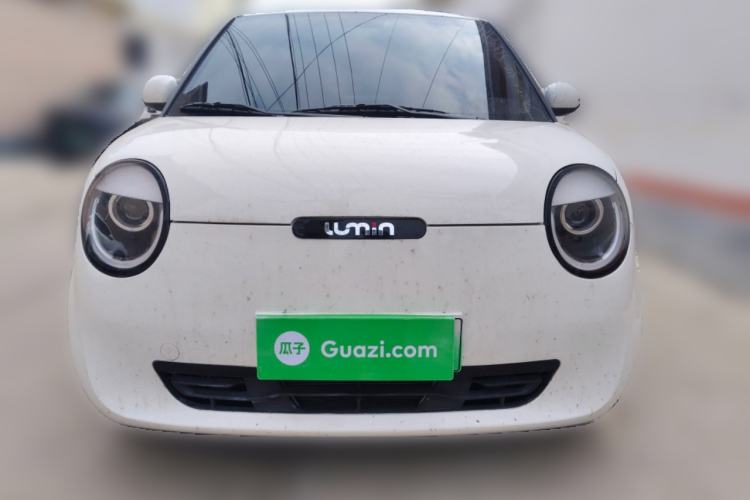 Used Qiyuan Lumin 2025 205 km Xiangqin Version
