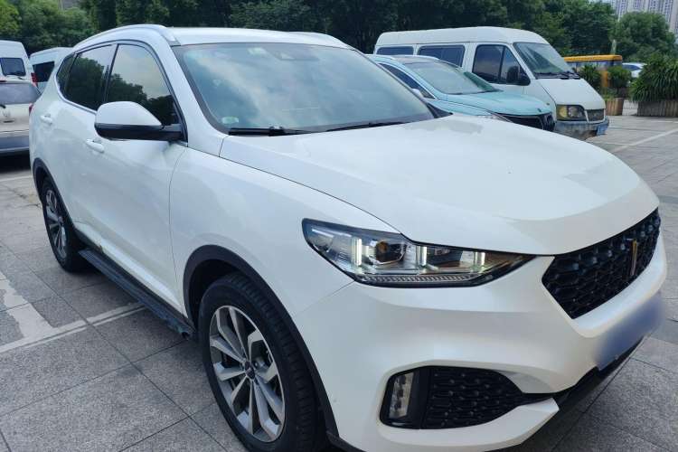 Used Wey VV6 2019 2.0T Two-Wheel-Drive Flagship Version China VI Standard