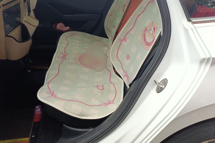 Used Volkswagen Sagitar 2021 280TSI DSG Excellence Edition Left Rear Seat