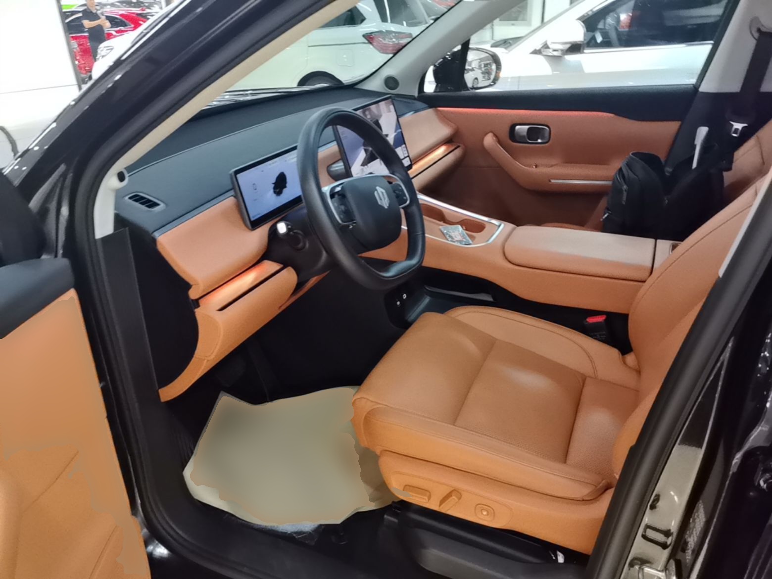 Interior delantero