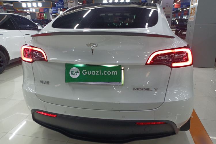 Used Tesla Model Y 2022 Revised Version Long-Range All-Wheel Drive