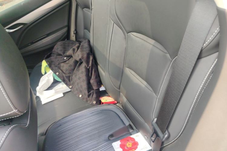 Used Geely Auto Monjaro 2019 300T YAOXINGZHE Left Rear Seat