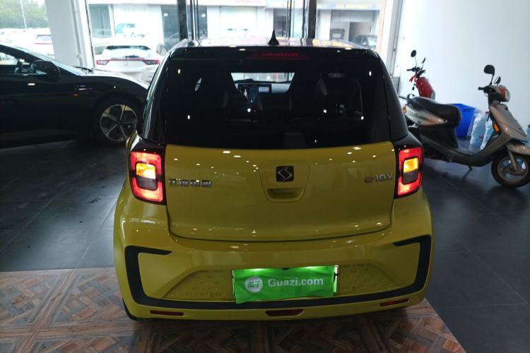 Used SOL E10X 2022 Flower Fairy Style Baby's Breath
