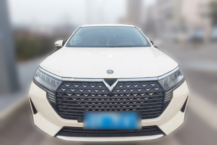 Used Venucia D60 2021 PLUS 1.6L XL CVT Yue Ling Edition