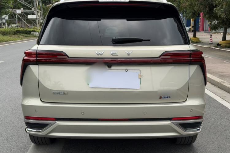 Used Wey Lanshan 2023 Two-Wheel Drive Long-Range Version
