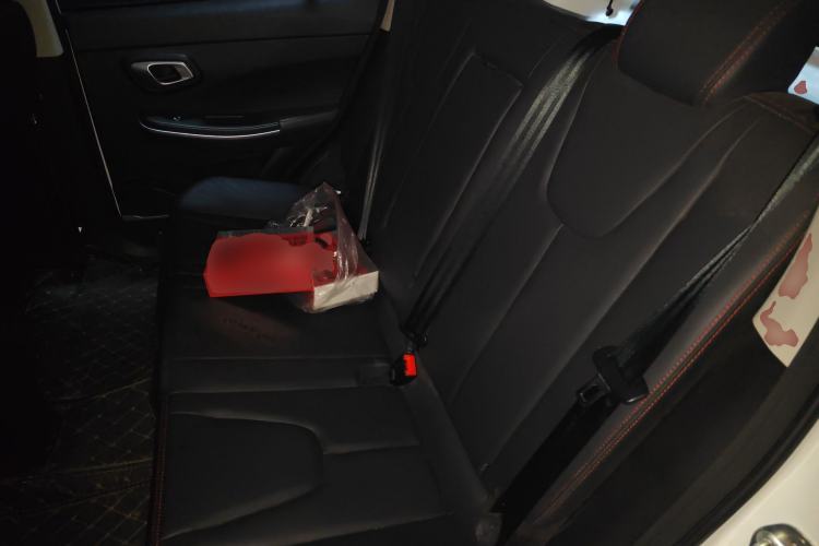 Used Dayun Yuehu 2021 32.85 kWh Two-Wheel-Drive Sprite Version Left Rear Seat