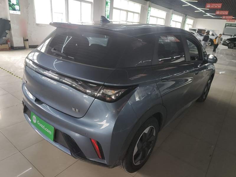 Used BYD Dolphin 2024 Honor Edition 420km Freedom Version — 6