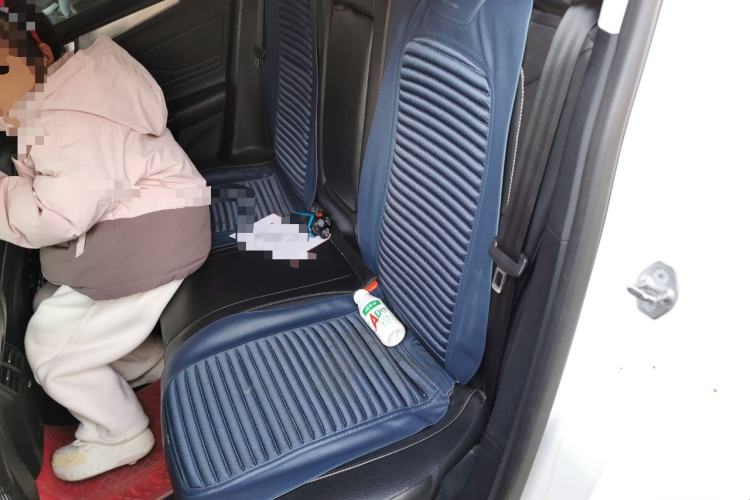 Used Ford Focus 2020 Sedan EcoBoost 180 Automatic Trend Edition