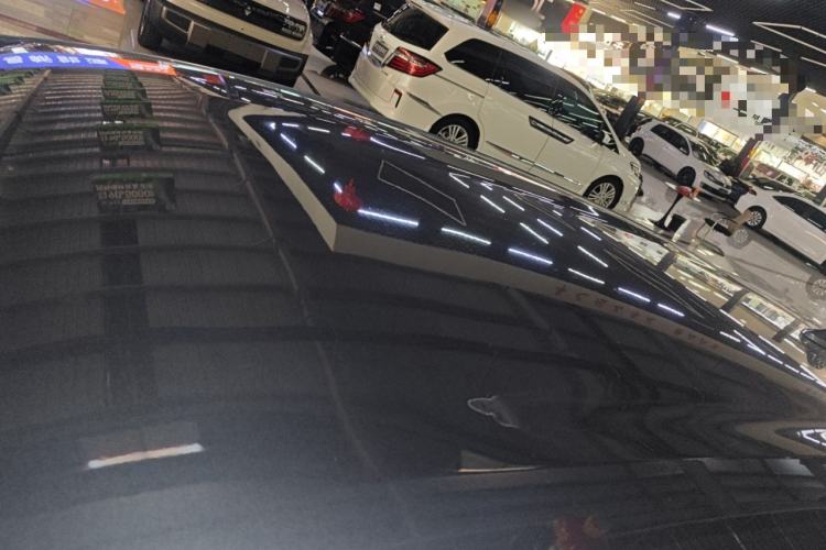 Used BYD Dolphin 2024 Honor Edition 420km Freedom Version