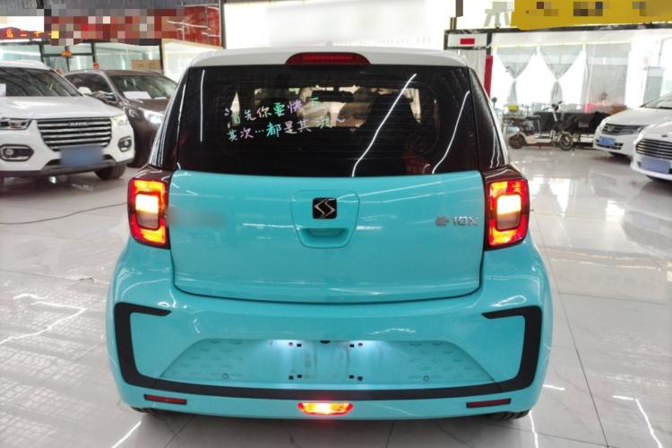 Used SOL E10X 2022 Flower Fairy Style Baby's Breath
