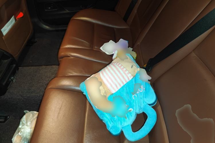 Used BMW 5 Series 2014 520Li Elegant Model Left Rear Seat