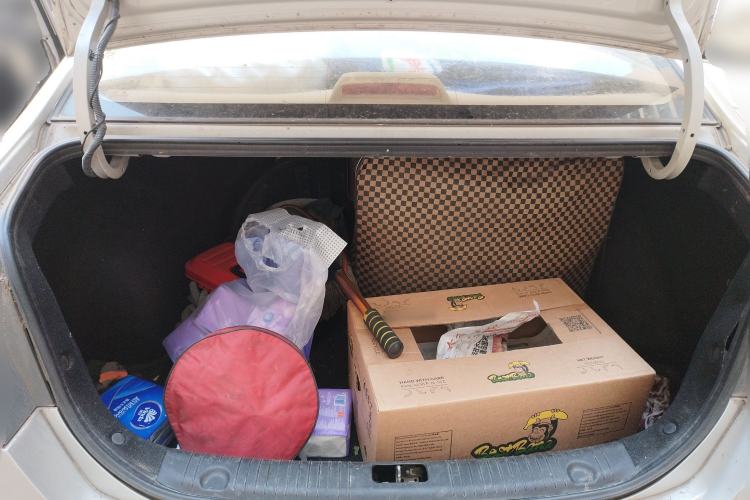 Used Hyundai Celesta 2008 1.6L AT GLS