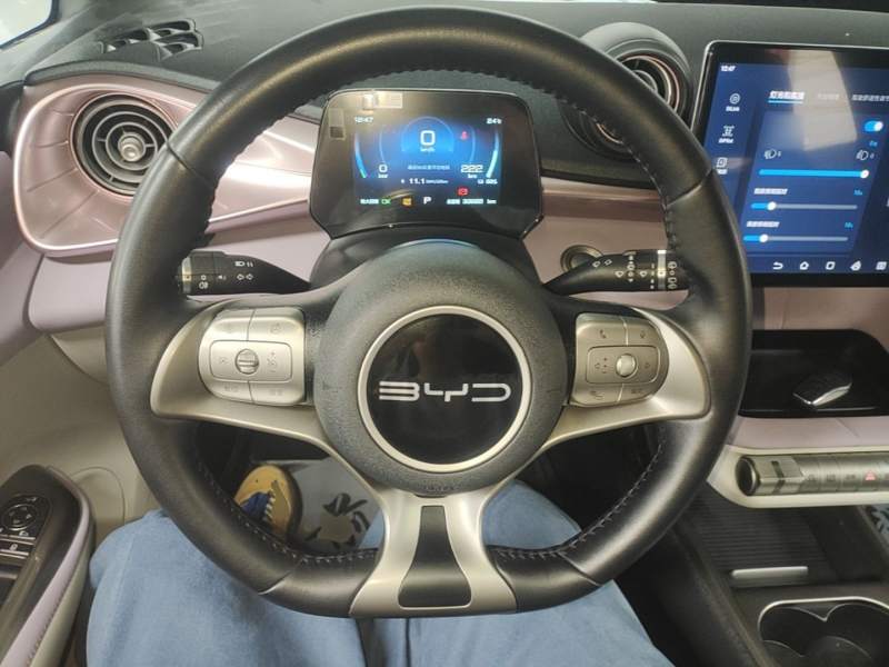 Used BYD Dolphin 2023 420 km Fashion Edition — 10