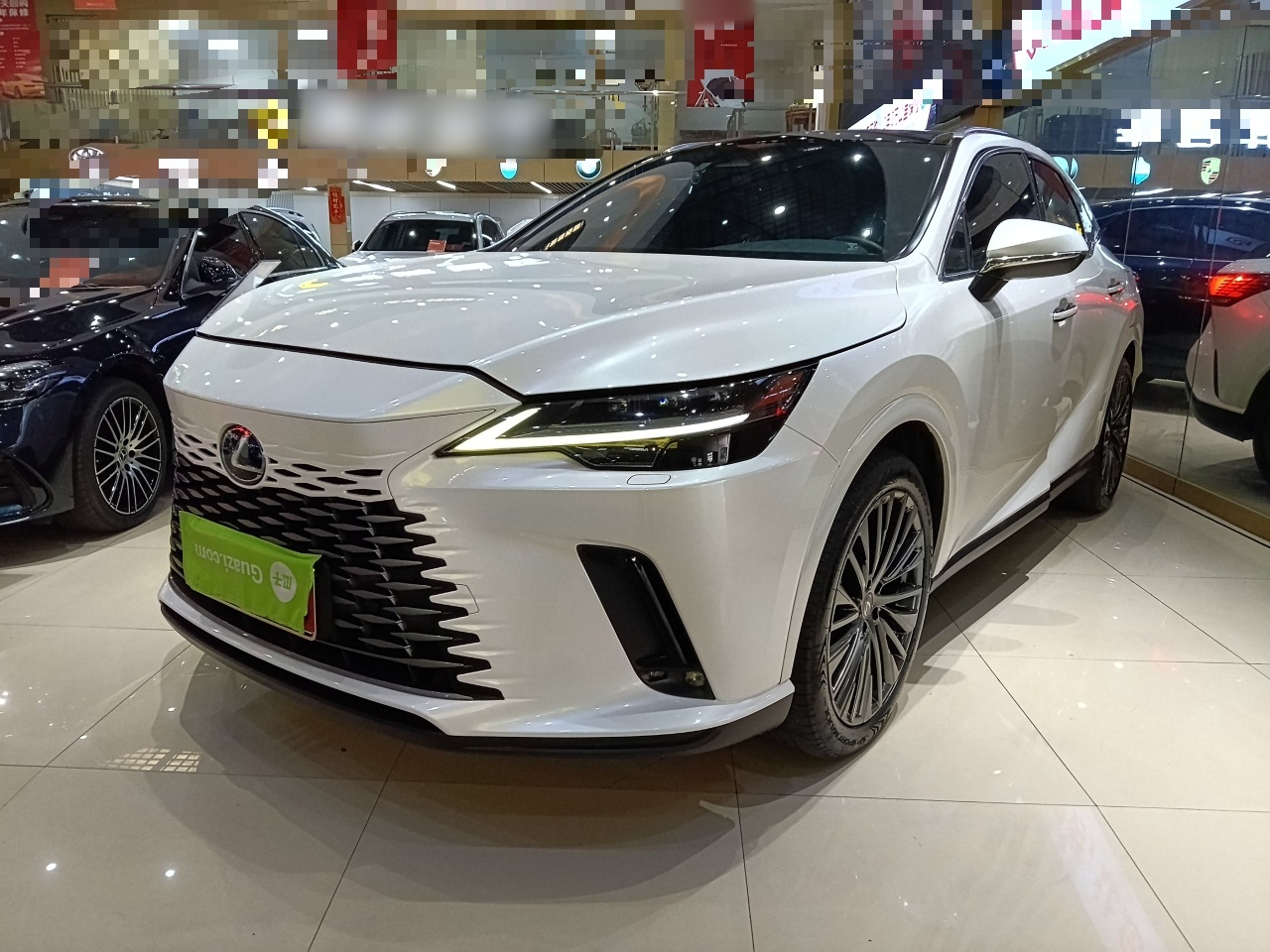 Parte inferior delantera