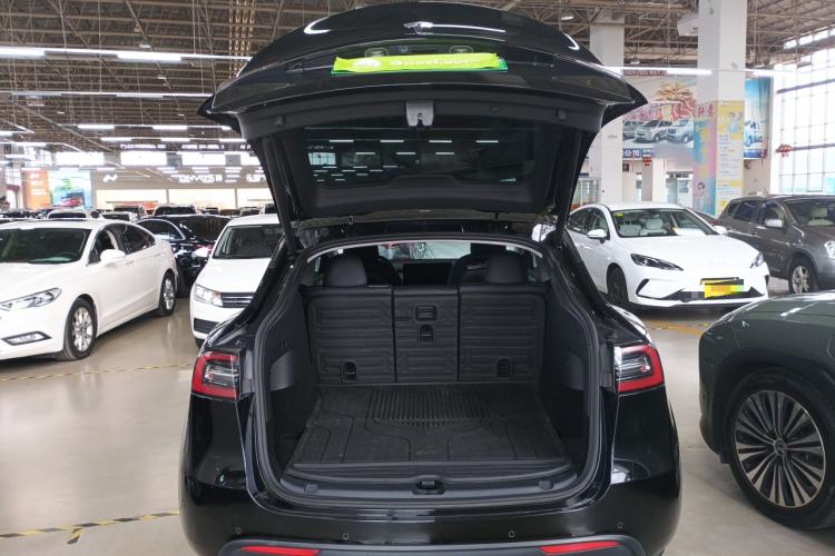 Used Tesla Model Y 2021 Standard Range Rear-Wheel Drive Version
