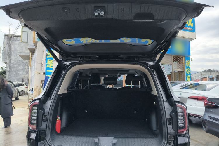 Used Haval DARGO 2024 2.0T DCT Chinese Rural Dog Edition
