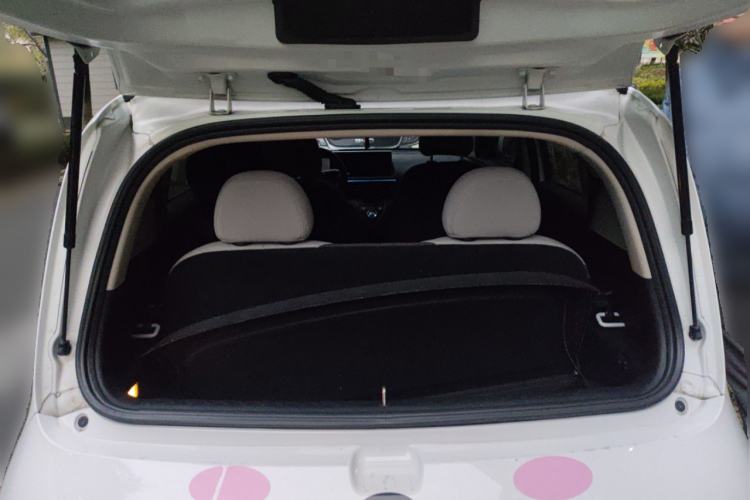 Used ORA White Cat 2020 360 km Luxury Version Trunk