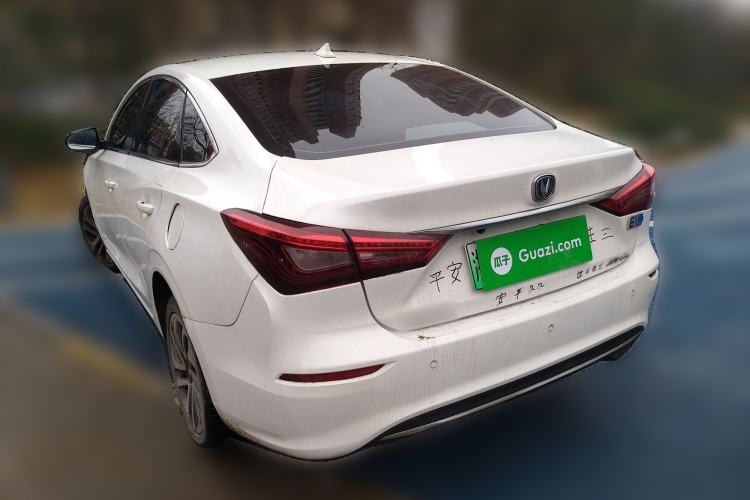 Used CHANGAN Eado New Energy 2019 EV460 Smart Edition Rear Left 45 Deg