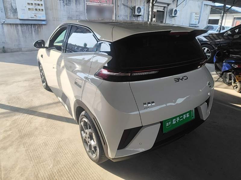 Used BYD Seagull 2025 Smart Drive Version 305 km Freedom Edition — 4