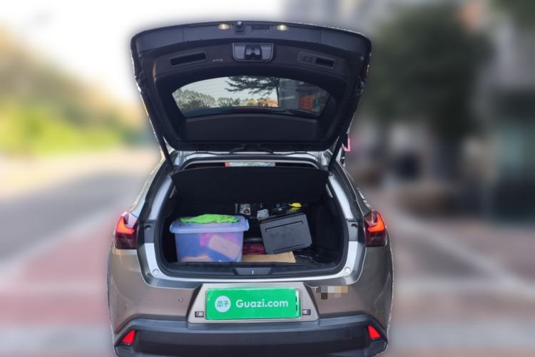 Used Lexus UX New Energy 2020 300e Pure·Joy Edition
